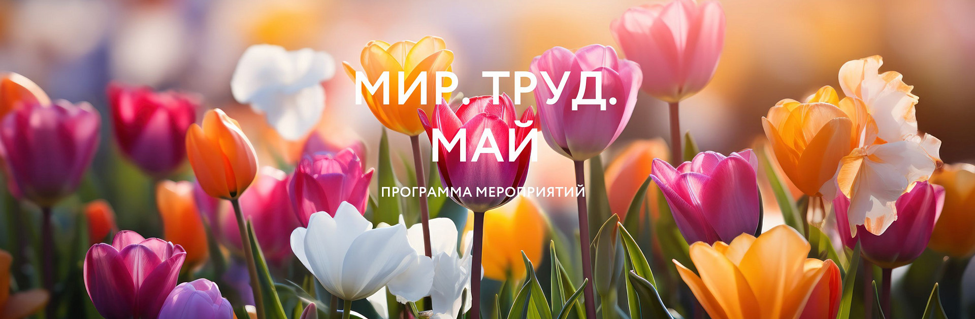 Официальный сайт санатория Старая Русса, г. Старая Русса